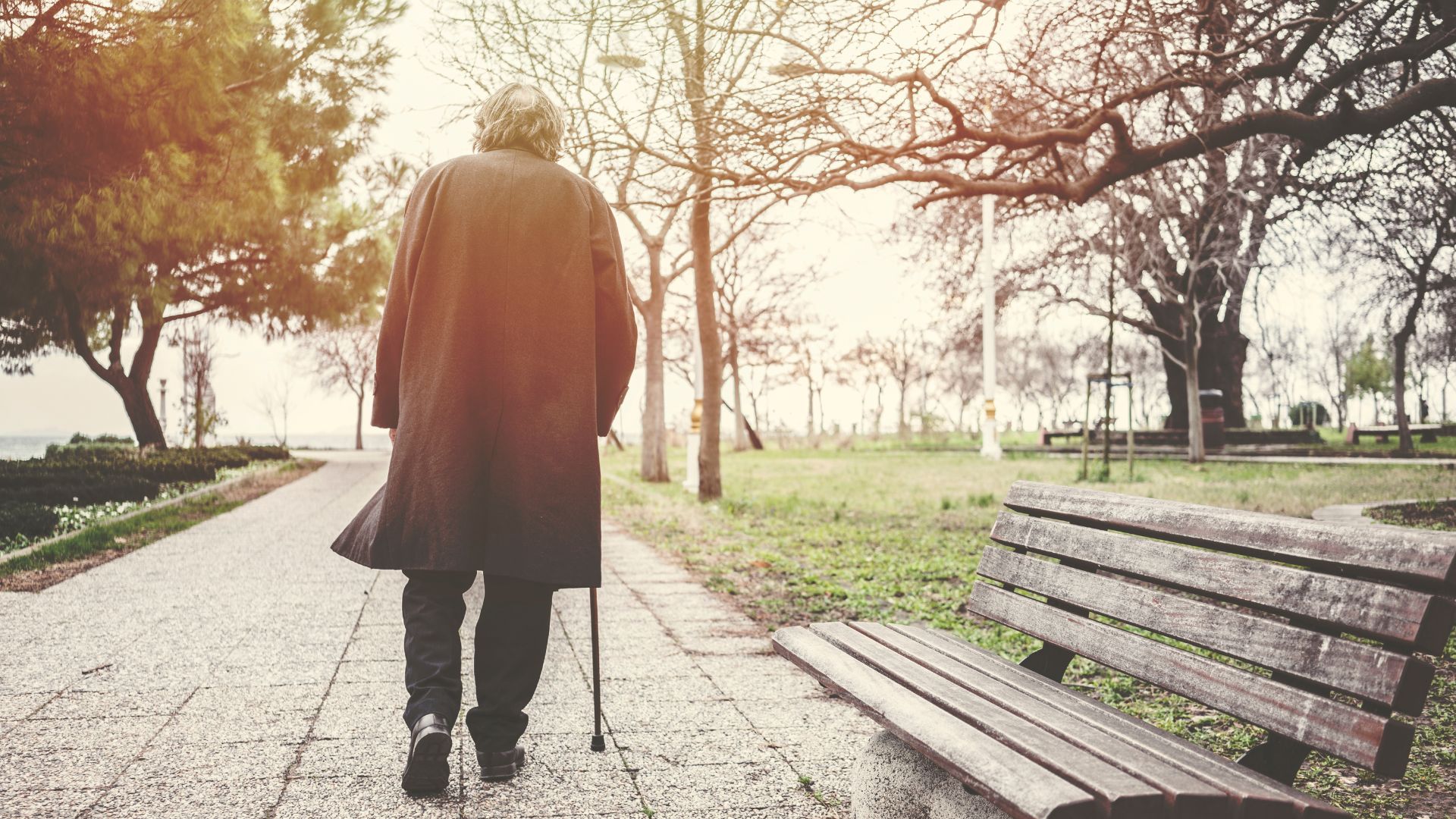 Walking in the park build healthy communities