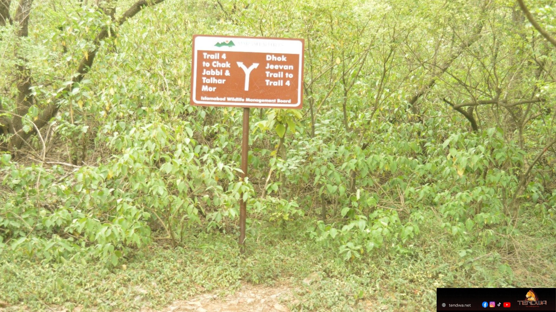 Trail 4 Islamabad is a loop track (Dhok Jeevan loop)