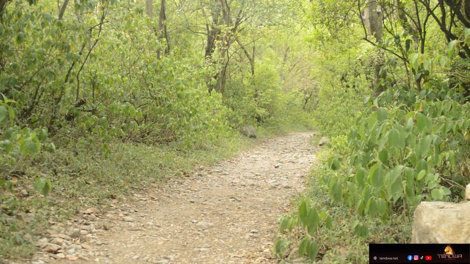 Trail 4 Islamabad is a narrow track