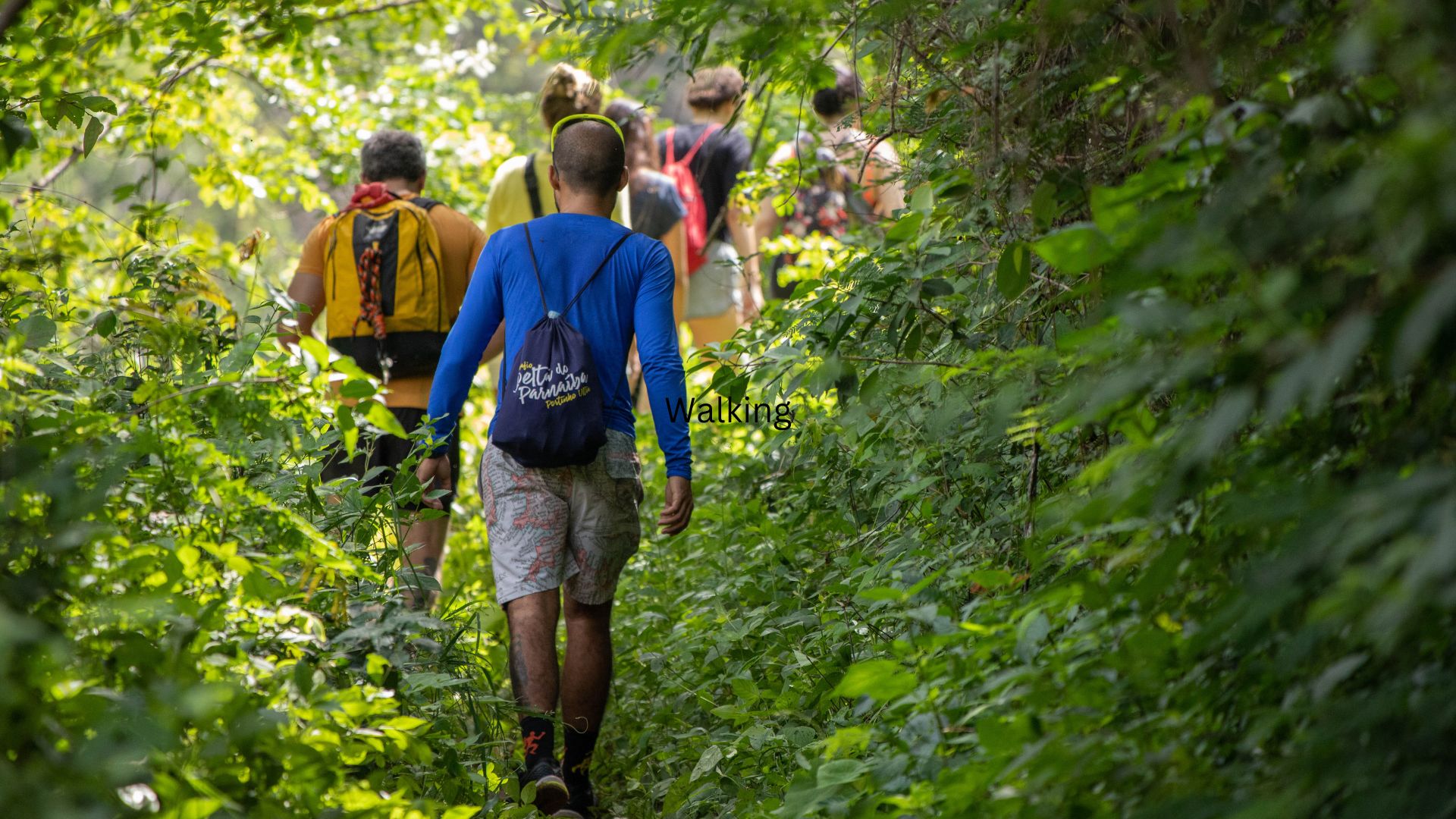 How Walking 5 Miles a Day Can Improve Your Health